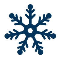 snow flake icon