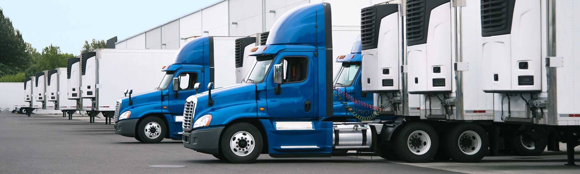 Blue reefer semi trucks and semi trailers stand in row